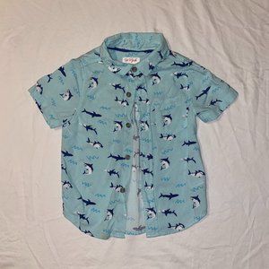 Toddler Boy Shark Button Down - 3T